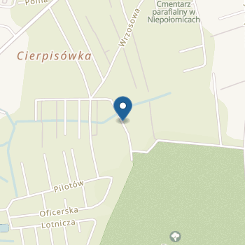 Niepubliczne Przedszkole Sportowo-Językowe Fair Play Sandkasse na mapie