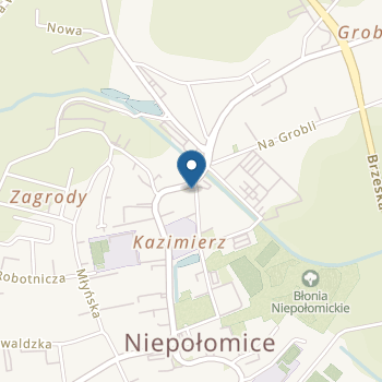 Niepubliczne Przedszkole Happy Fun na mapie