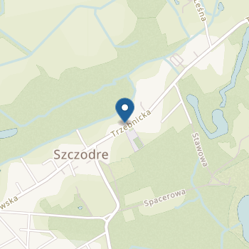 Niepubliczny Punkt Przedszkolny Leśna Akademia na mapie