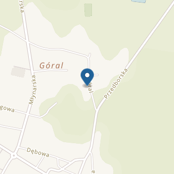 Niepubliczne Przedszkole "Patyczek i Kamyczek" na mapie