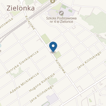 Niepubliczny Terapeutyczny Punkt Przedszkolny "Tadzio" Bożena Sułkowska na mapie