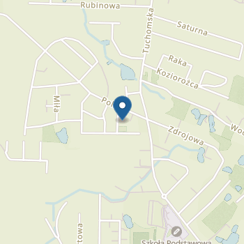 Hocki Klocki Polna Przedszkole Niepubliczne na mapie