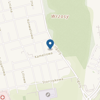 Niepubliczne Dwujęzyczne Przedszkole Integracyjne "Wioska Irysek" na mapie