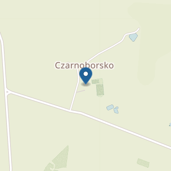 Punkt Przedszkolny nr 2 w Publicznej Szkole Podstawowej im. Juliana Tuwima w Czarnoborsku na mapie