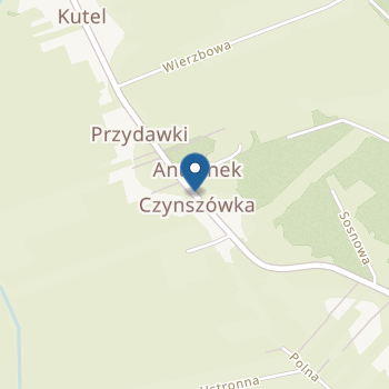 Pietruszkowe Przedszkole na mapie