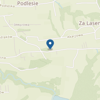 Niepubliczny Terapeutyczny Punkt Przedszkolny "Błękitna Akademia" na mapie