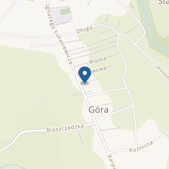 Niepubliczne Przedszkole Integracyjne Magiczny Świat na mapie