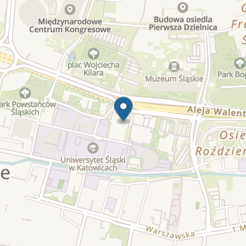 Niepubliczne Dwujęzyczne Przedszkole Kids&Co na mapie