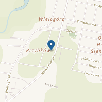 Przedszkole Niepubliczne Akademia Przygód na mapie