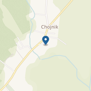 Przedszkole w Chojniku na mapie
