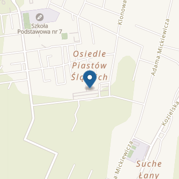 Przedszkole Niepubliczne "Puchatek" na mapie