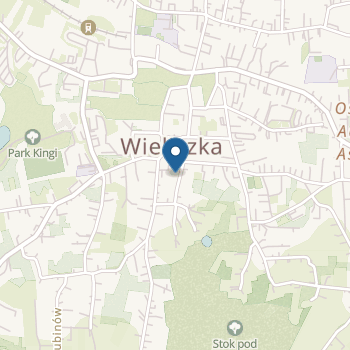 Niepubliczne Przedszkole Terapeutyczne Mamileo w Wieliczce na mapie