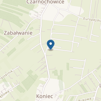 Niepubliczne Przedszkole Bajkowy Globus na mapie