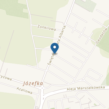 Przedszkole Mozaikowe na mapie