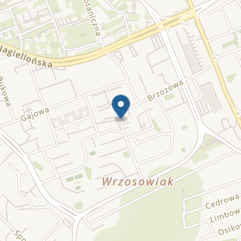 Niepubliczne Przedszkole Językowe "Wyspa Szkrabów" z Oddziałami Specjalnymi na mapie