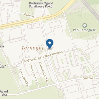 Terapeutyczny Punkt Przedszkolny Niebieska Niedźwiedzica na mapie