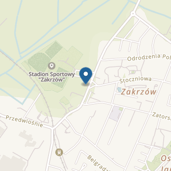 Niepubliczne Przedszkole Niziołki na mapie