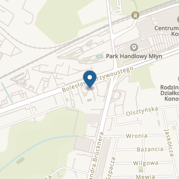 Niepubliczny Punkt Przedszkolny Saplings18 Marek Grzegorz Kaźmierczak na mapie