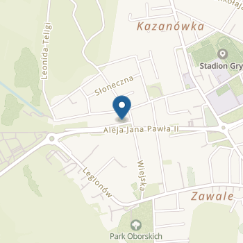 Niepubliczne Integracyjne Leśne Przedszkole w Mielcu na mapie