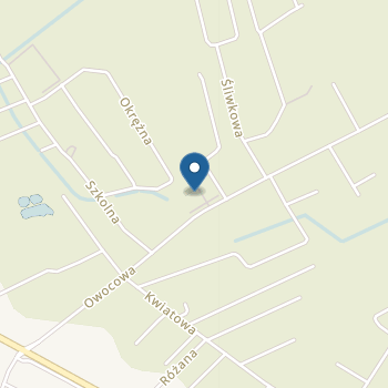 Niepubliczne Przedszkole Terapeutyczne "Brzozowy Gaj" na mapie