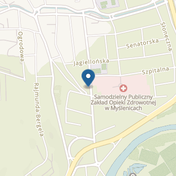 Niepubliczny Punkt Przedszkolny Pyramid "Daj Uśmiech" Zenon Kurek na mapie