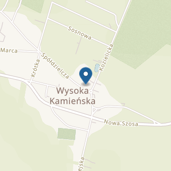 Niepubliczne Przedszkole "Słoneczko" Towarzystwa Przyjaciół Dzieci w Wysokiej Kamieńskiej na mapie