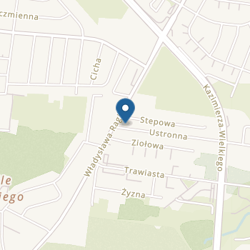 Terapeutyczny Punkt Przedszkolny "Jasio i Niezapominajki" na mapie