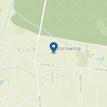 Niepubliczne Przedszkole Borowina na mapie