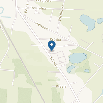 Niepubliczne Przedszkole z Oddziałami Integracyjnymi Kids Dream na mapie