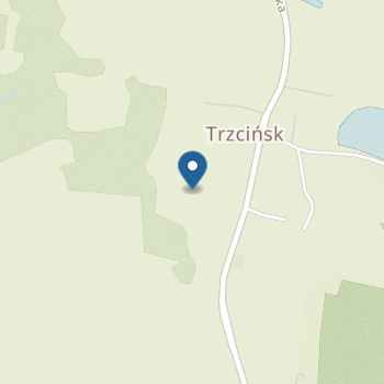 Punkt Przedszkolny w Trzcińsku na mapie