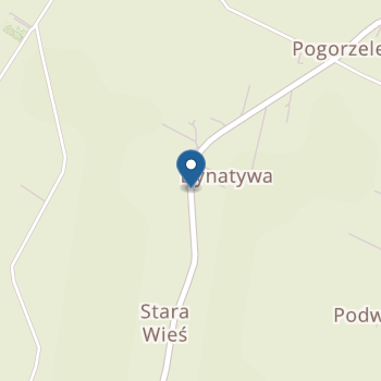 Gminne Przedszkole w Krajnie na mapie