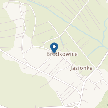 Niepubliczne Przedszkole "Niebieski Motylek" w Jasionce na mapie