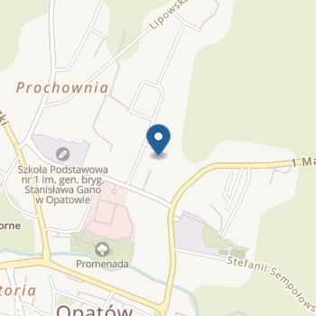 Niepubliczne Przedszkole Specjalne "Gadułka" w Opatowie na mapie