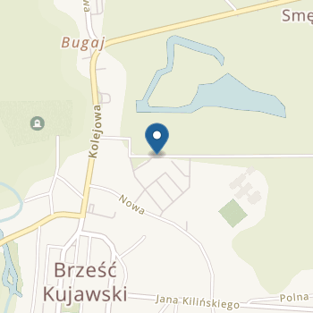 Przedszkole Publiczne nr 1 Kraina Bajek w Brześciu Kujawskim na mapie