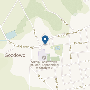 Publiczne Przedszkole im. św. Jana Pawła II w Gozdowie na mapie
