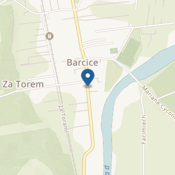 Przedszkole Specjalne w Barcicach Specjalny Ośrodek Szkolno - Wychowawczy w Barcicach na mapie