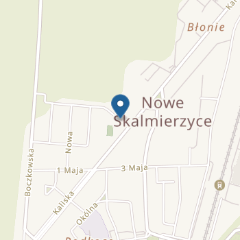 Publiczne Przedszkole nr 1 "Jarzębinka" w Nowych Skalmierzycach na mapie