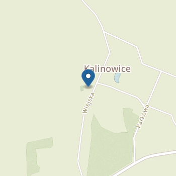 Przedszkole Publiczne w Kalinowicach na mapie