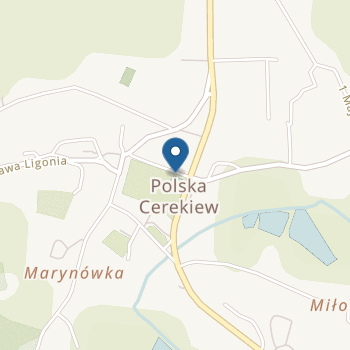 Publiczne Przedszkole w Polskiej Cerekwi z Oddziałem Zamiejscowym w Zakrzowie na mapie