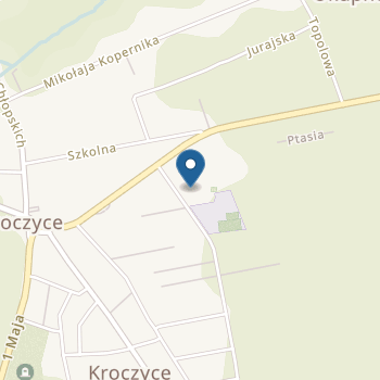 Przedszkole Publiczne w Kroczycach na mapie