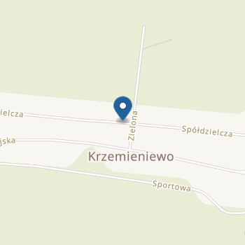 Publiczne Przedszkole w Krzemieniewie na mapie