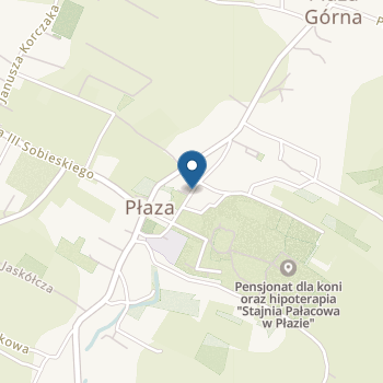 Przedszkole Samorządowe w Płazie na mapie