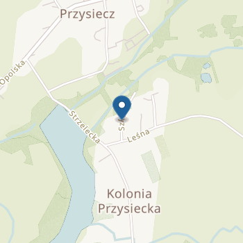 Przedszkole Publiczne w Ligocie Prószkowskiej na mapie