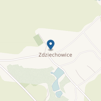 Przedszkole Publiczne w Zdziechowicach na mapie