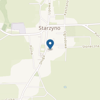 Niepubliczne Przedszkole pod Aniołami w Starzynie na mapie