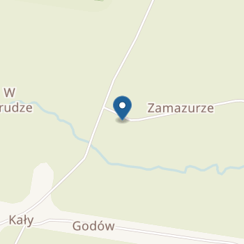Punkt Przedszkolny przy Publicznej Szkole Podstawowej w Godowie na mapie