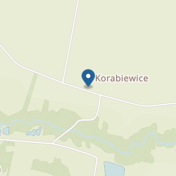 Punkt Przedszkolny w Korabiewicach na mapie