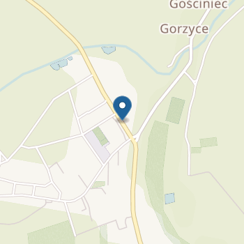 Przedszkole Niepubliczne S. S. Karmelitanek Dzieciątka Jezus im. Matki Teresy Kierocińskiej Gorzyce na mapie