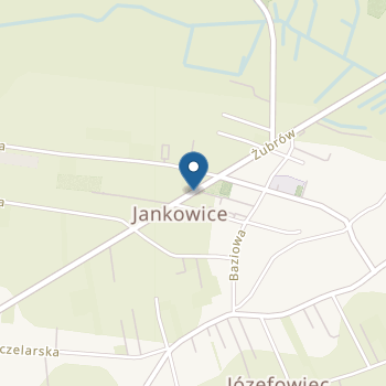 Niepubliczne Integracyjne Przedszkole Troskliwe Misie Judyta Marcinkiewicz na mapie