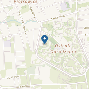 Niepubliczne Przedszkole Edukacyjno-Rehabilitacyjne Odrodzenie na mapie